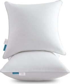 Cotton Pillow Inserts Set of Two for Sofa