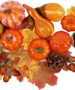 Winemana Fall Decorations Mini Pumpkins Gourds Leaves Set